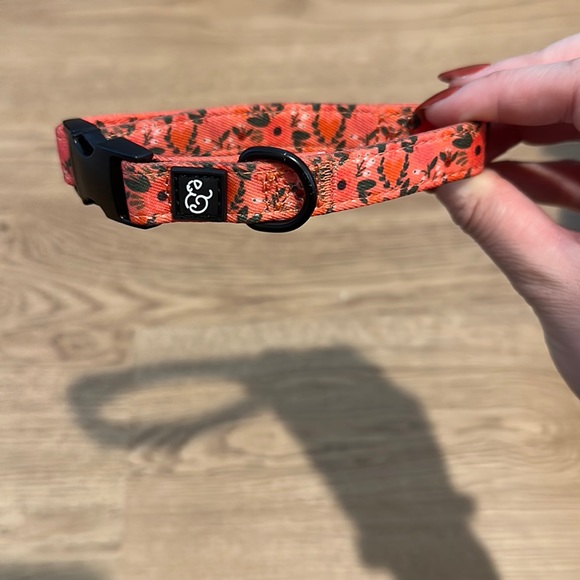 Lucy and Co. Dog Lucy And Co Posy Pink Dog Collar Poshmark